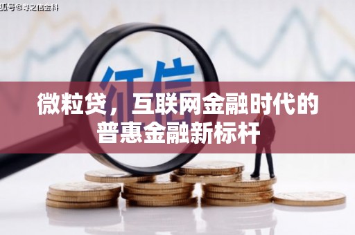 镇原微粒贷，互联网金融时代的普惠金融新标杆