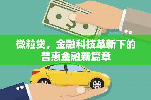 镇原微粒贷，金融科技革新下的普惠金融新篇章