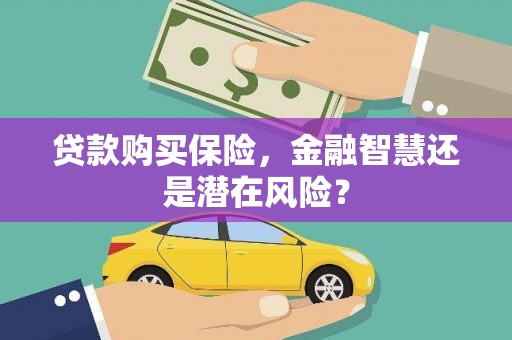镇原贷款购买保险，金融智慧还是潜在风险？