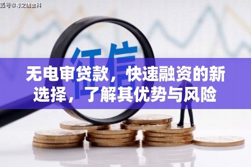 镇原无电审贷款，快速融资的新选择，了解其优势与风险