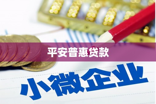 镇原平安普惠贷款