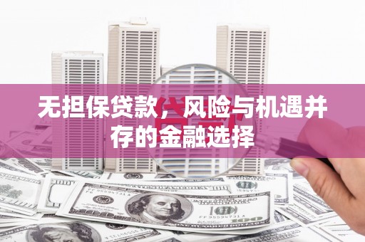 镇原无担保贷款，风险与机遇并存的金融选择