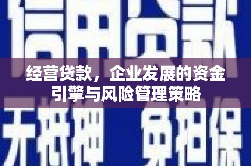 镇原经营贷款，企业发展的资金引擎与风险管理策略