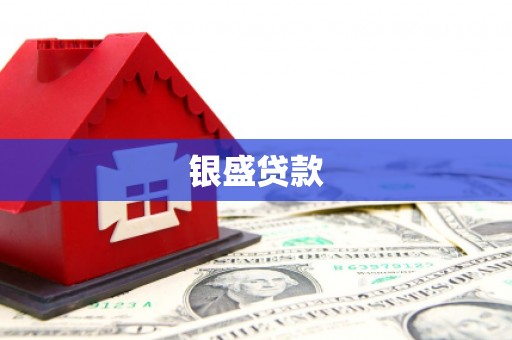 镇原银盛贷款