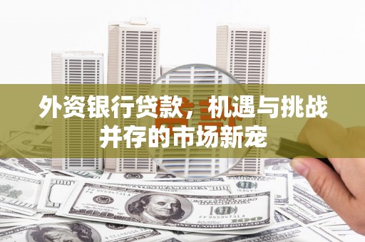 镇原外资银行贷款，机遇与挑战并存的市场新宠