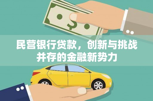 镇原民营银行贷款，创新与挑战并存的金融新势力