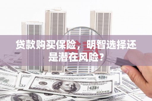 镇原贷款购买保险，明智选择还是潜在风险？