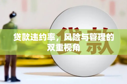 镇原贷款违约率，风险与管理的双重视角