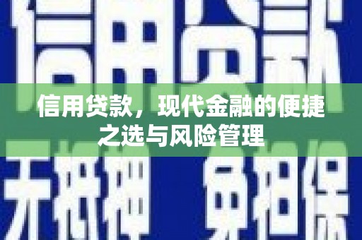 镇原信用贷款，现代金融的便捷之选与风险管理