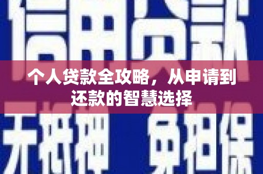 镇原个人贷款全攻略，从申请到还款的智慧选择