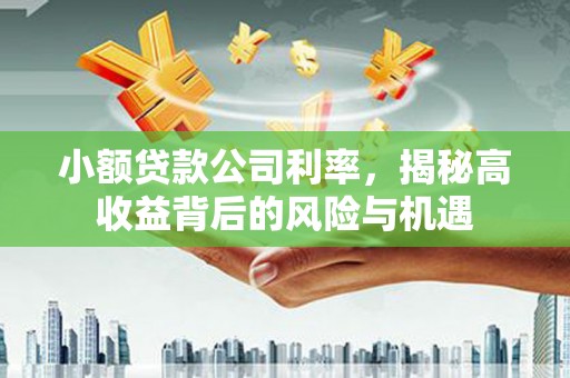 镇原小额贷款公司利率，揭秘高收益背后的风险与机遇