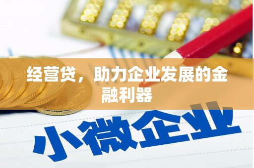 镇原经营贷，助力企业发展的金融利器