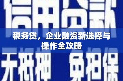 镇原税务贷，企业融资新选择与操作全攻略