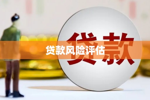 镇原贷款风险评估