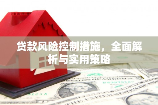镇原贷款风险控制措施，全面解析与实用策略