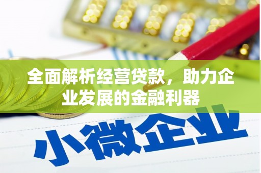 镇原全面解析经营贷款，助力企业发展的金融利器