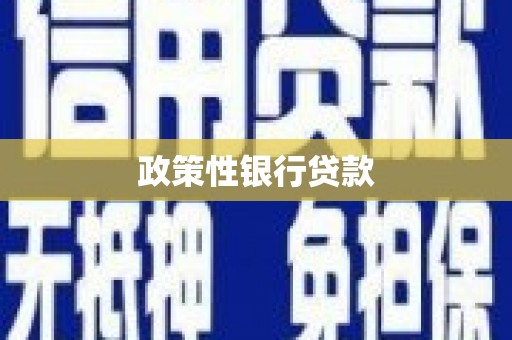 镇原政策性银行贷款