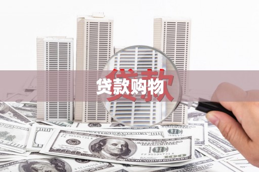 镇原贷款购物