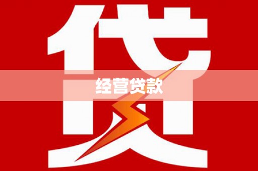 镇原经营贷款