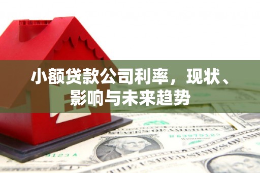 镇原小额贷款公司利率，现状、影响与未来趋势