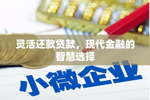 镇原灵活还款贷款，现代金融的智慧选择