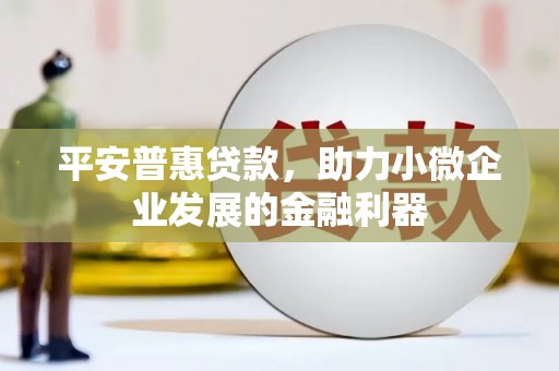 镇原平安普惠贷款，助力小微企业发展的金融利器