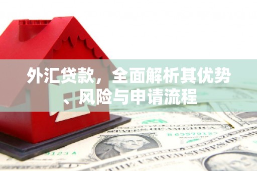 镇原外汇贷款，全面解析其优势、风险与申请流程