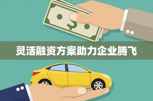 镇原灵活融资方案助力企业腾飞