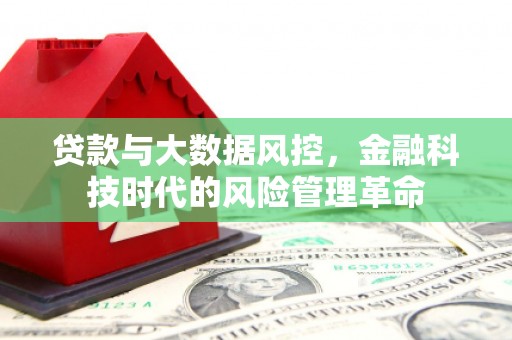 镇原贷款与大数据风控，金融科技时代的风险管理革命