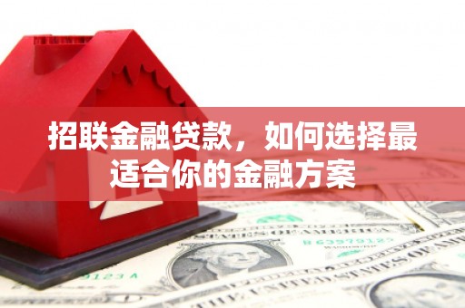镇原招联金融贷款，如何选择最适合你的金融方案