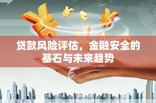 镇原贷款风险评估，金融安全的基石与未来趋势