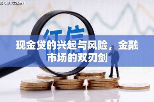 镇原现金贷的兴起与风险，金融市场的双刃剑