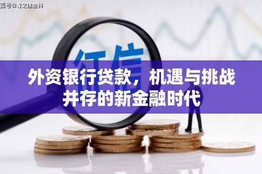 镇原外资银行贷款，机遇与挑战并存的新金融时代