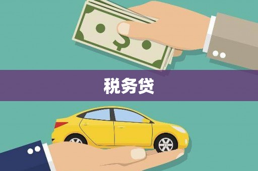镇原税务贷