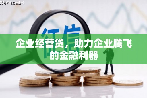 镇原企业经营贷，助力企业腾飞的金融利器