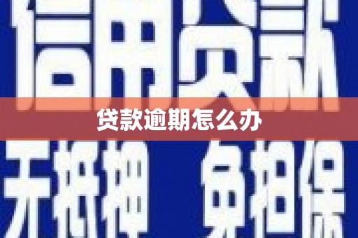 镇原贷款逾期怎么办