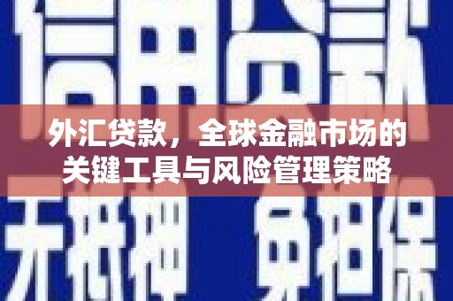 镇原外汇贷款，全球金融市场的关键工具与风险管理策略