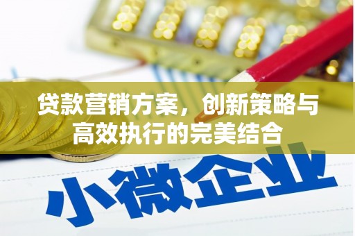 镇原贷款营销方案，创新策略与高效执行的完美结合