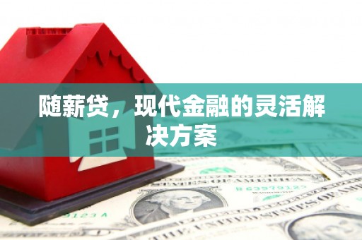 镇原随薪贷，现代金融的灵活解决方案