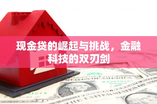 镇原现金贷的崛起与挑战，金融科技的双刃剑