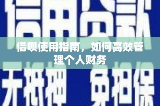 镇原借呗使用指南，如何高效管理个人财务