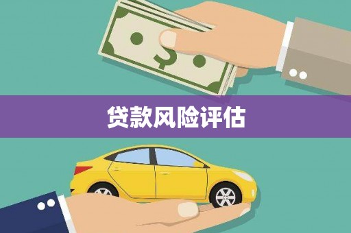 镇原贷款风险评估