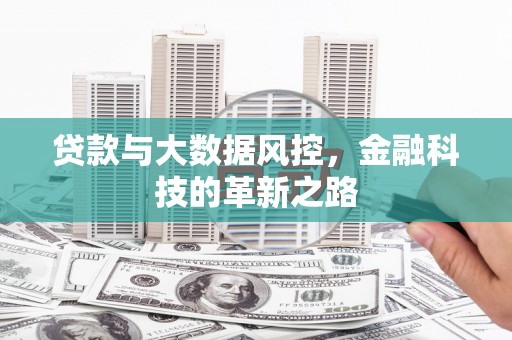 镇原贷款与大数据风控，金融科技的革新之路
