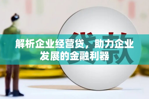 镇原解析企业经营贷，助力企业发展的金融利器