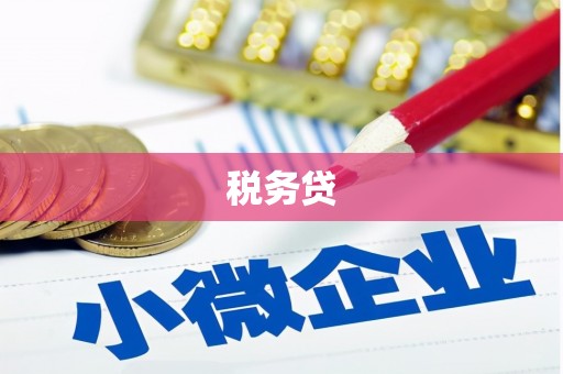 镇原税务贷