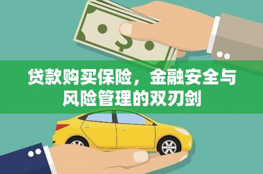 镇原贷款购买保险，金融安全与风险管理的双刃剑