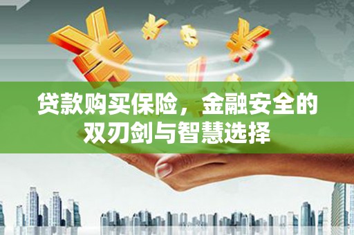 镇原贷款购买保险，金融安全的双刃剑与智慧选择