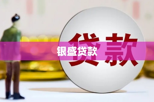 镇原银盛贷款
