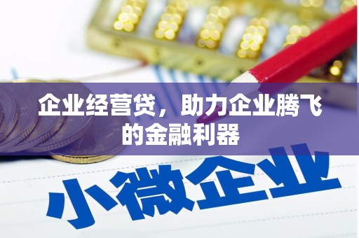 镇原企业经营贷，助力企业腾飞的金融利器