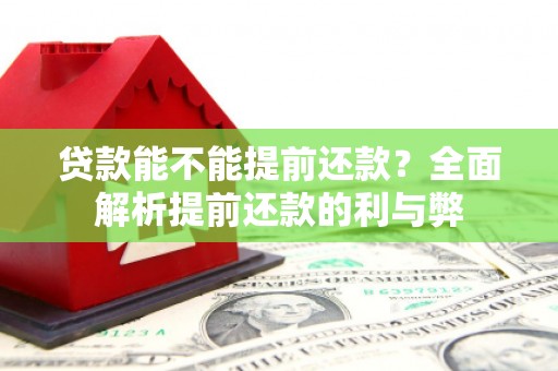 镇原贷款能不能提前还款？全面解析提前还款的利与弊